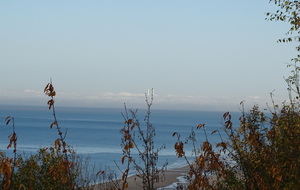 637320051deec_DSC05109.JPG