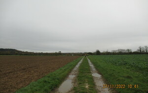 6384792fae2cb_IMG3761.JPG