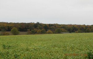 638479424e774_IMG3763.JPG