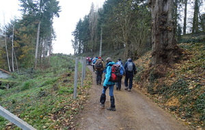 638ee1ff1e34c_DSC05186.JPG