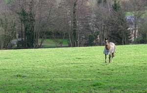 63bfa1d390024_DSC05302.JPG