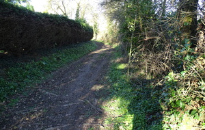 63fdb2cf86dea_DSC05653.JPG