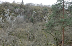 6412d0e883435_DSC05835.JPG