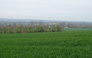 643f8a150fde8_DSC06322.JPG