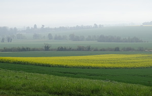 643f8a163f7ce_DSC06323.JPG