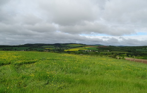 645b5c76008d5_DSC06655.JPG
