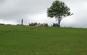 645b5c77573ab_DSC06656.JPG