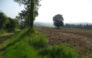 6476e33d6792f_DSC07054.JPG