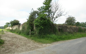 647f1c95cee8e_IMG5595.JPG
