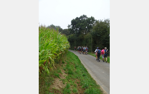 64fff8ba4d20d_DSC07792.JPG