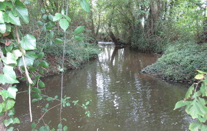 6538e6790f713_IMG6657.JPG