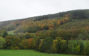65530d0804b70_DSC08369.JPG