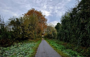 65642ee9351bb_20231126095638.jpg