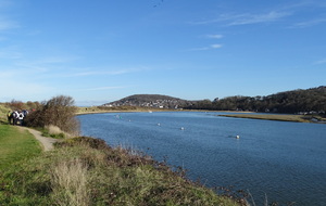 65ba93944c274_DSC08594.JPG