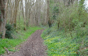 65fbd06902791_DSC08732.JPG
