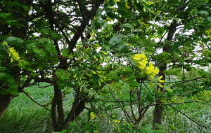 661d31bd837a2_DSC08935.JPG