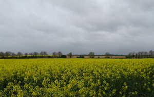 661d31c18f526_DSC08939.JPG
