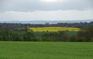 6620143b37e1d_DSC08963.JPG