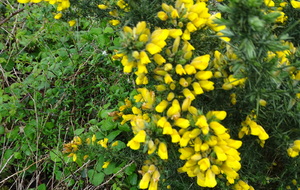 6620143d3c269_DSC08964.JPG