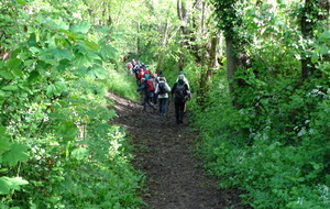 662e814a3e360_DSC09059.JPG