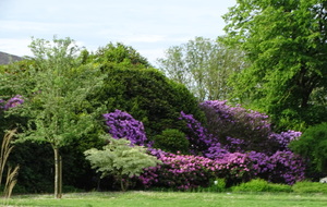664c503b1d9c7_DSC09213.JPG