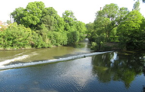665426f493ebf_IMG7772.JPG