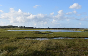 68b277ef6bc30_DSC7331.JPG