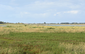 68b277f2aa512_DSC7332.JPG