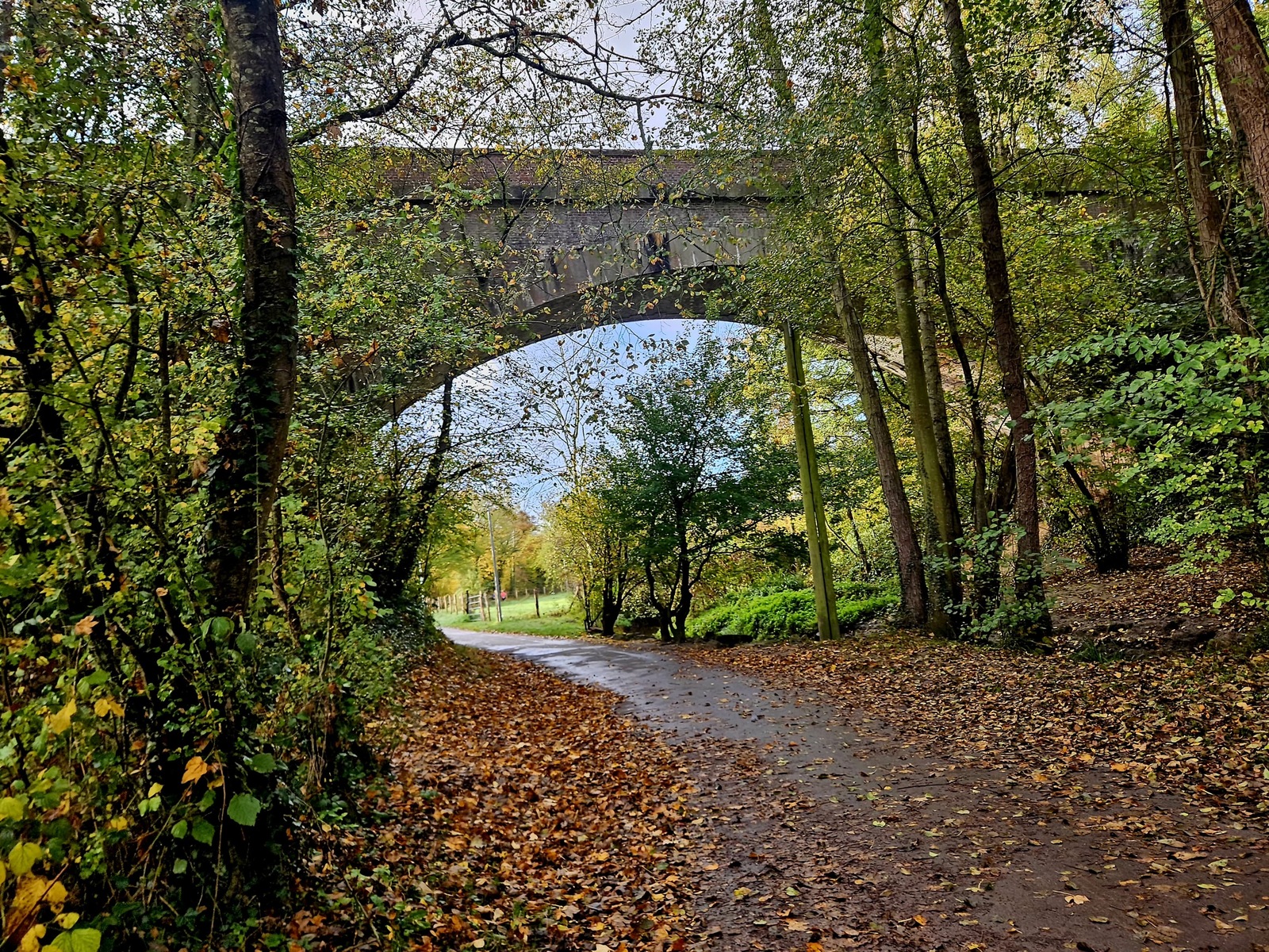 Marche rapide : Vallée de l'Odon : Verson