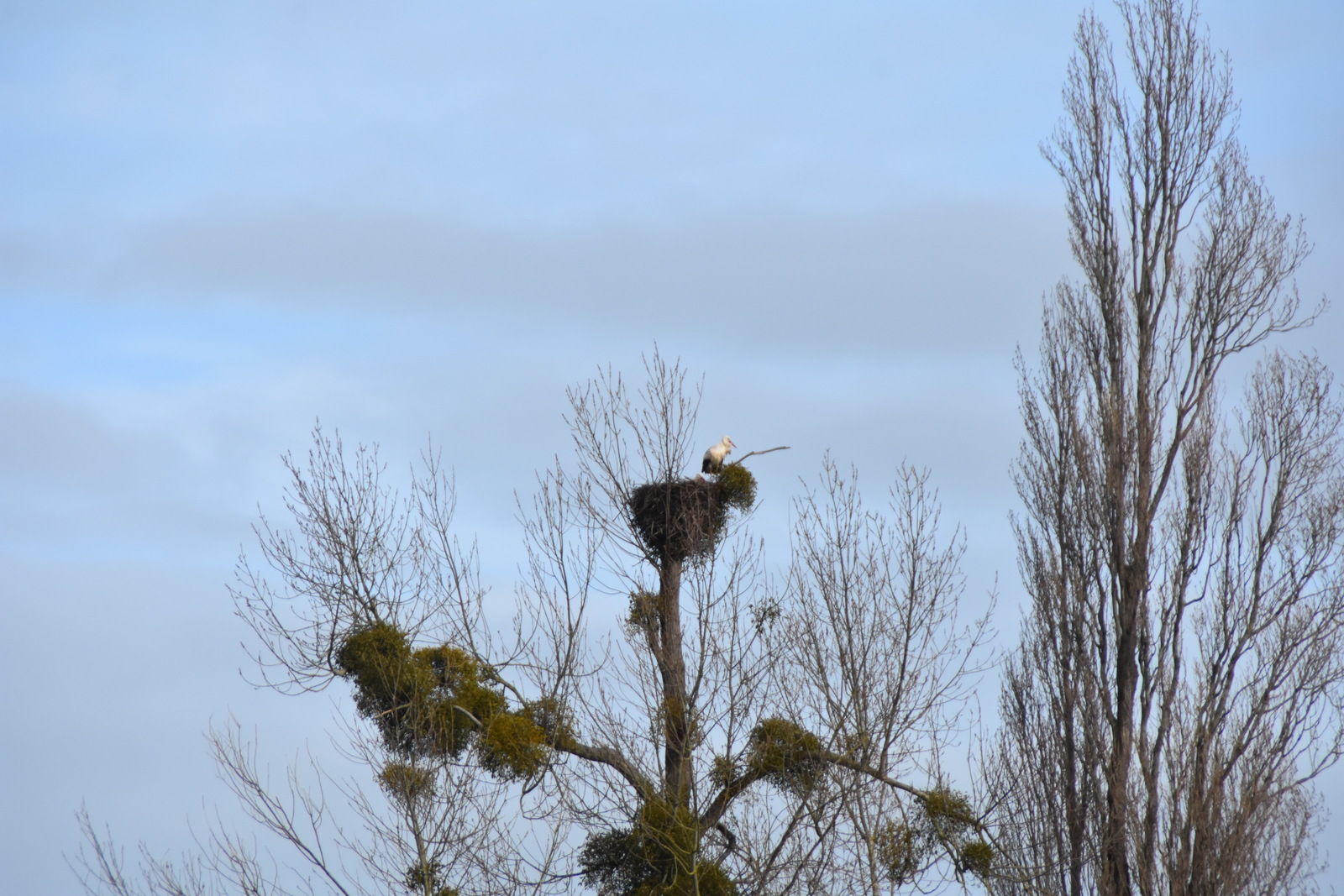 randonnée douce : Pétiville