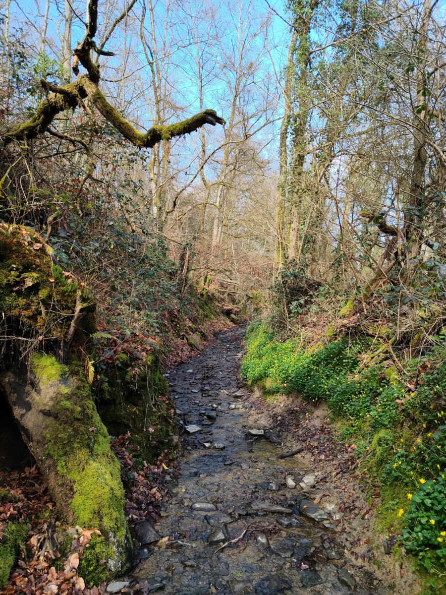 Sur les traces des Templiers : Vassy