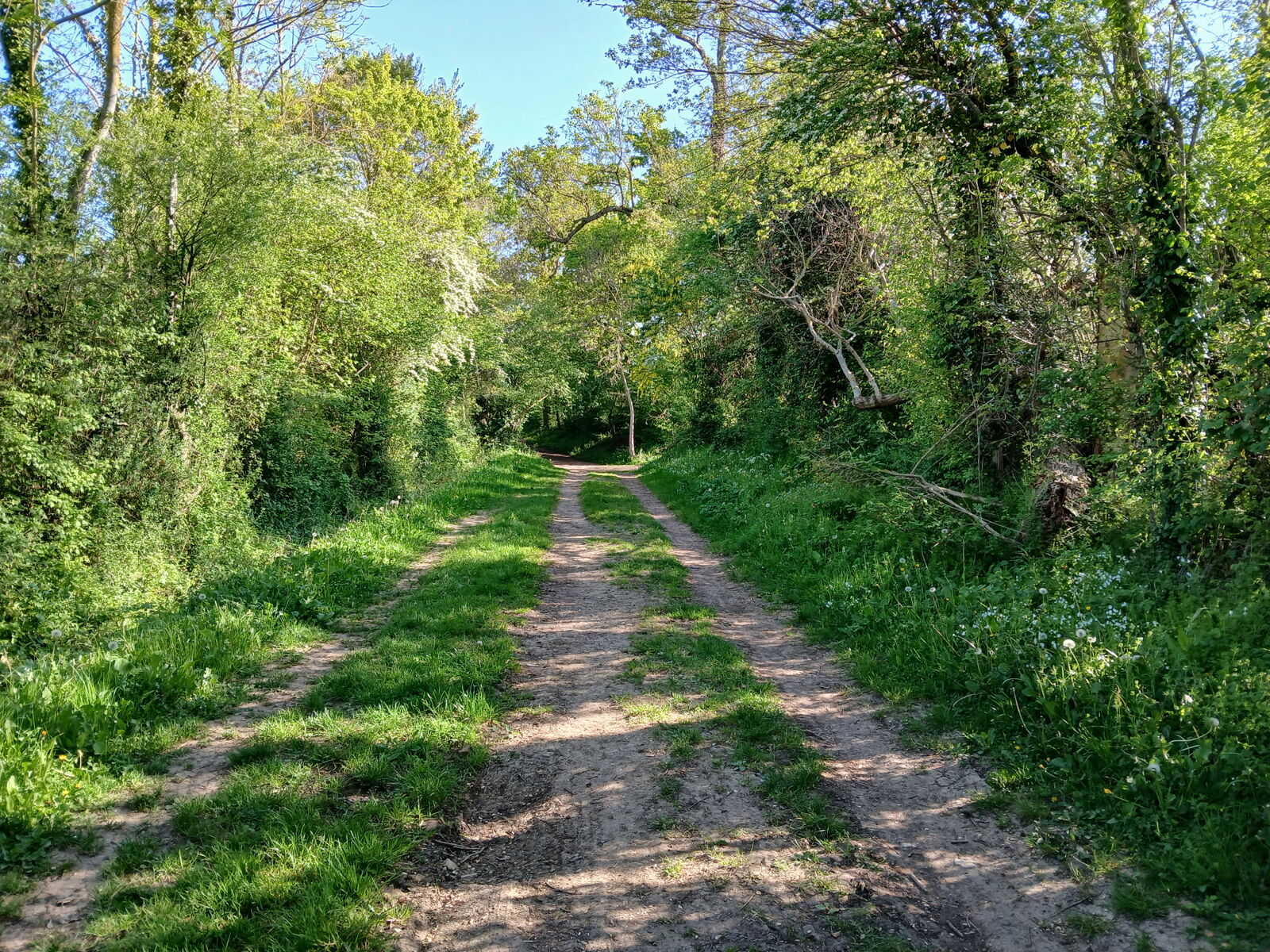 Sainte Honorine la Chardronette