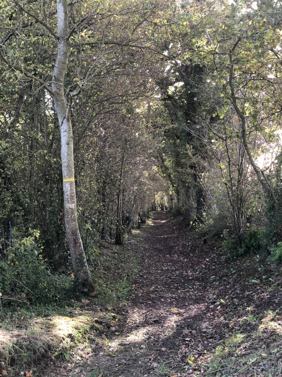 La Vallée de l'Ajon : Banneville-sur-Ajon