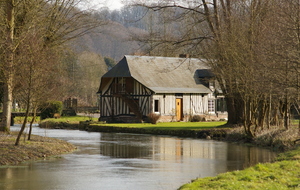 Caux Maritime, Vallée de la Durdent