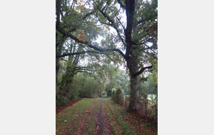 Entre la plaine de Caen et le Pays d'Auge à Ouézy