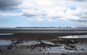Pennedepie : les marais, le bois du Breuil ...