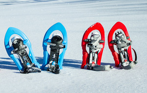 ANNULÉ Séjour raquettes à Arêches-Beaufort