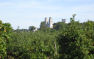 Week-end de Pentecôte à Jumièges