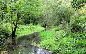 À la rencontre du Dan