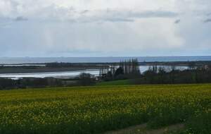 Entre Amfreville et Merville-Franceville