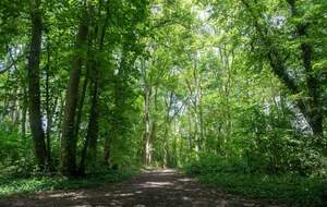 Sur les hauteurs de Biéville