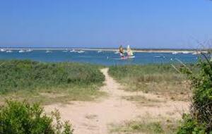 Marche rapide : La Pointe du Siège