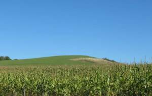Sur les chemins des bruyères (Le Bény-Bocage)