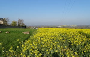 Marche Rapide : Sallenelles- Entre mer et marais