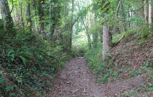 Autour de Fontaine : Fontaine-Etoupefour,Eterville