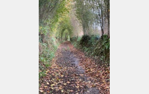 Quelques moulins au sud de Balleroy