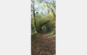 Autour de L'Orne: Clinchamps/Bully