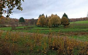 Patrimoine de Boulon