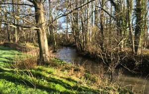 Marche Rapide: Verson - La Vallée de l'Odon
