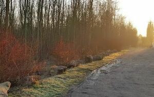 La vallée verte de Ifs à Cormelles